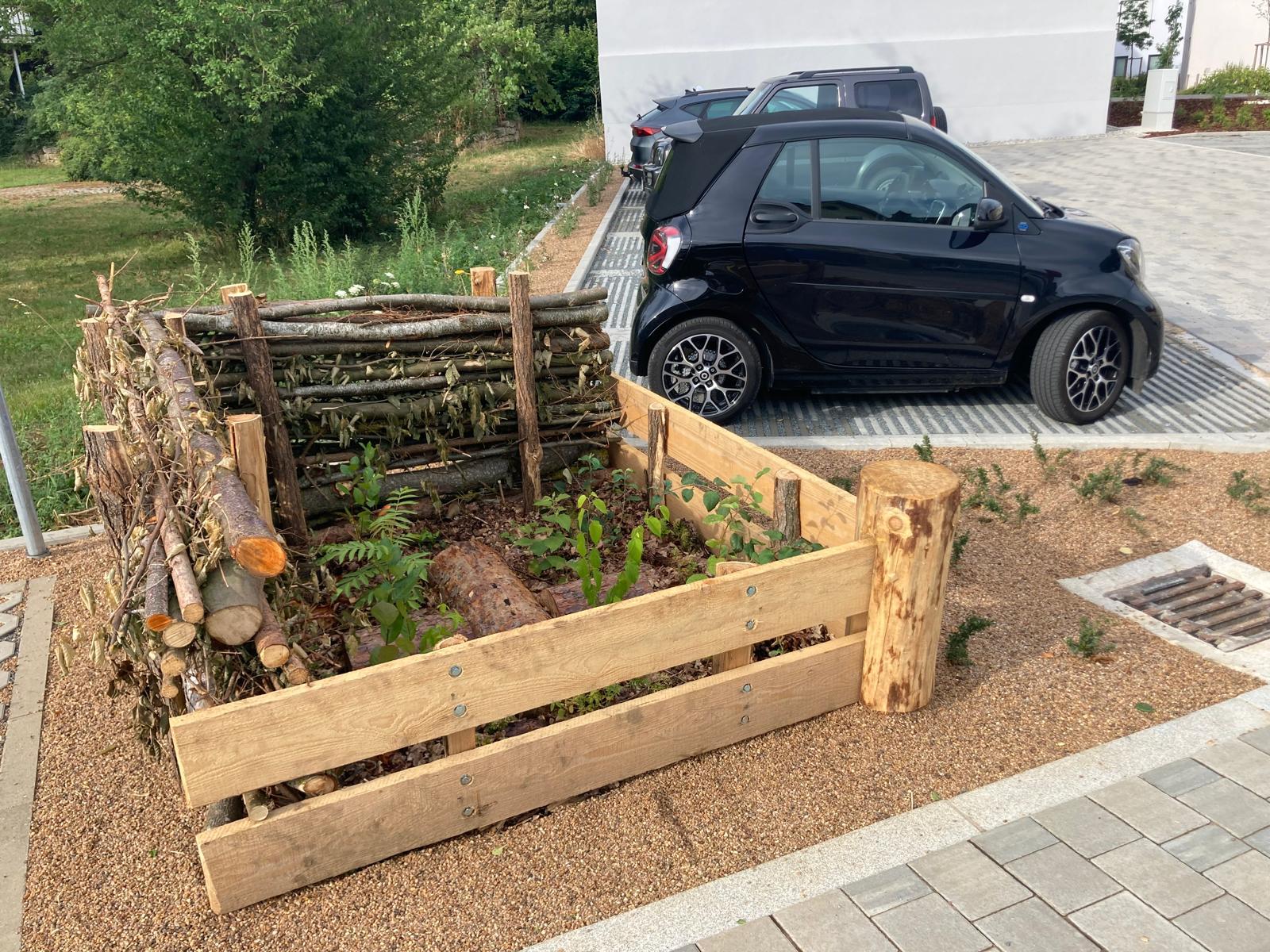 Pocket Park Jahr 1_2